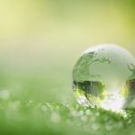 close-up-of-crystal-globe-resting-on-grass-in-a-forest